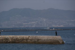 SONY DSC