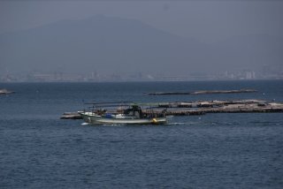 SONY DSC