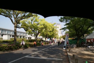 SONY DSC