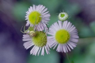 2010-07-1750-012