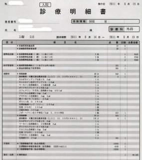 2011-08-19-meisai-02