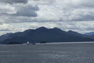 SONY DSC