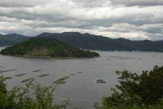 SONY DSC